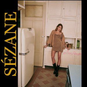 SÉZANE APRYL DRESS Gold